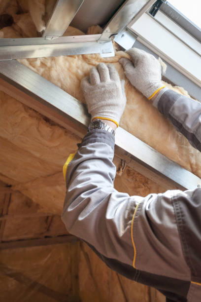 Best Specialized Insulation Services in Weldon, NC