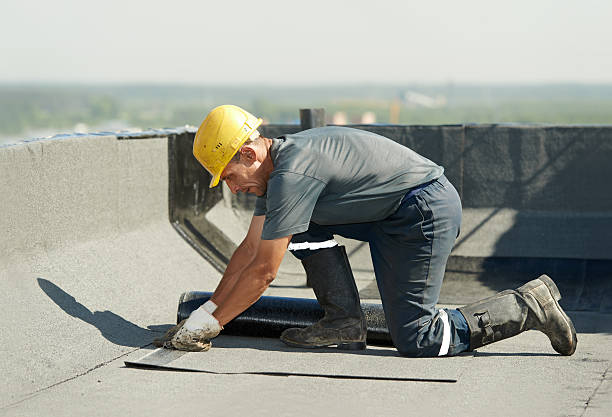 Best Insulation Maintenance and Repair in Weldon, NC